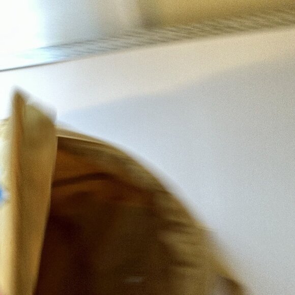 True Love Forever Yellow Cream Graphic Backpack Colorful Sacred Heart Bird - Picture 7 of 10